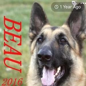 Meet your Posher, Dennis